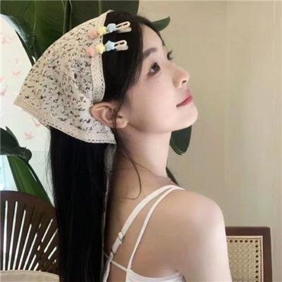 神探艳盗封面
